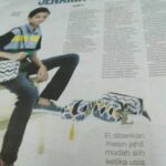 NewsAliudneL2.